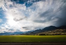 How to Help Save the Environment: 27 Best Things You Can Do how to help save the environment