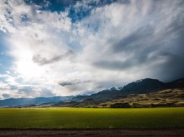 how to help save the environment
