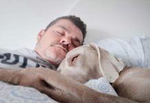 How To Fall Asleep Easily At Night: 23 Helpful Strategies how to fall asleep easily