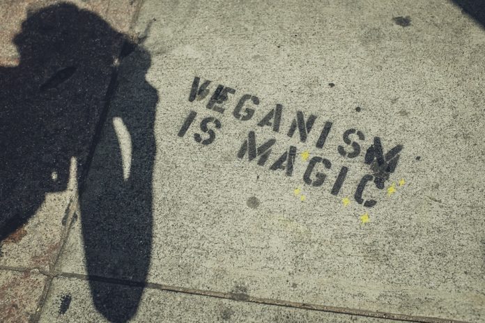 how to stop eating meat