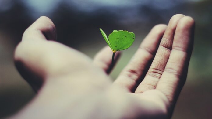 how to develop growth mindset