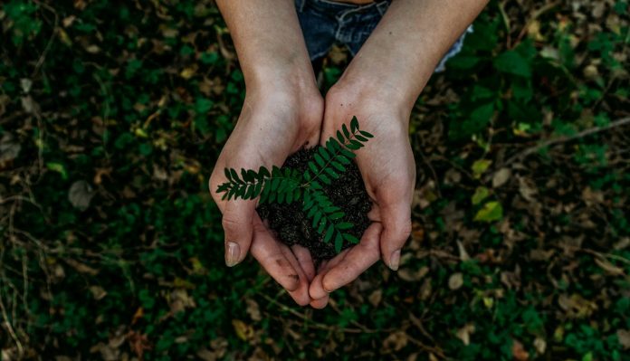 how to reduce waste at home and at the office